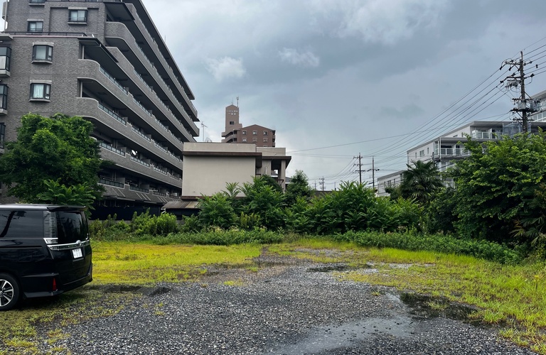 大中小規模の植栽の伐採、剪定、撤去は株式会社セプトへ